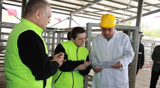 TSE den Büyükşehir mezbahasına tam not