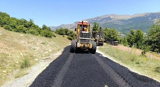 Alanyanın yayla yollarında yaz mesaisi