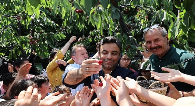 Bağcılar da Kiraz Festivali Coşkusu
