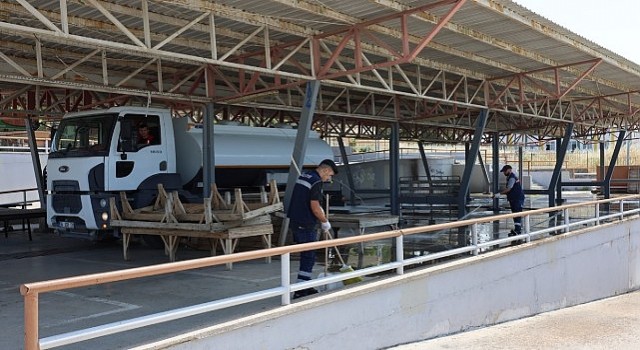 Bayraklı Kurban Bayramına hazır