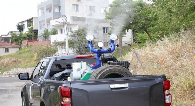 Bayraklıda haşereyle mücadele sürüyor