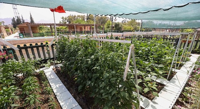 En Güzel Tasarım ve Uygulama Yarışmasında ödüller sahiplerini buldu