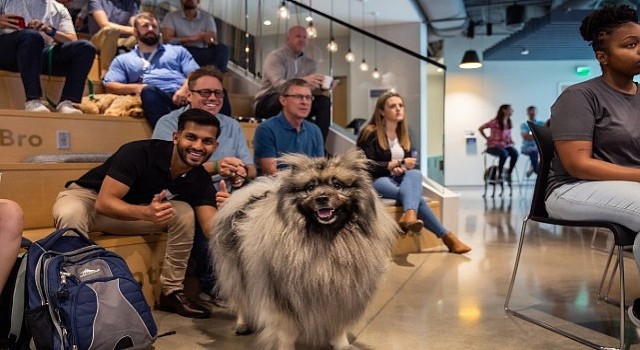 Evcil Hayvanlar İçin Açılan Kapılar, İş Dünyasında Bambaşka Bir Dönüşümü Beraberinde Getiriyor