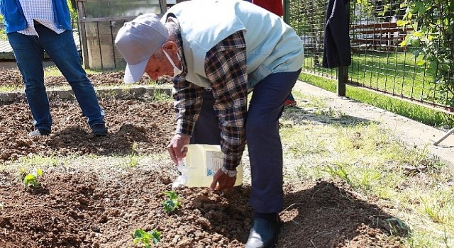İstanbullu Halk Bostanlarını Çok Sevdi