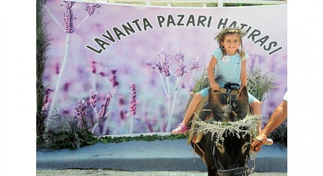 Mis Gibi Şenlik: Seferihisarda Lavanta Büyüsü Başlıyor