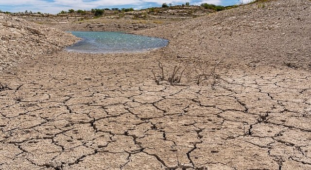 TEMA Vakfı Toprağı İyileştirmek, Doğayı ve Geleceği Korumaktır