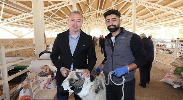 Yeni Kurban Pazarı Alıcının da Satıcının da Yüzünü Güldürdü...