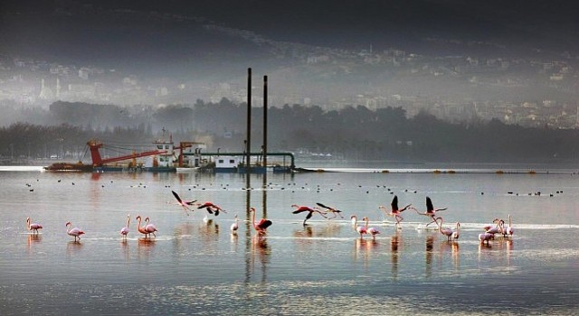 170 hektar alan dip çamurundan arındırıldı