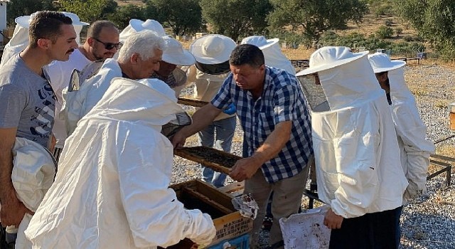 Büyükşehirden Arıcılara Uygulamalı Eğitim Desteği