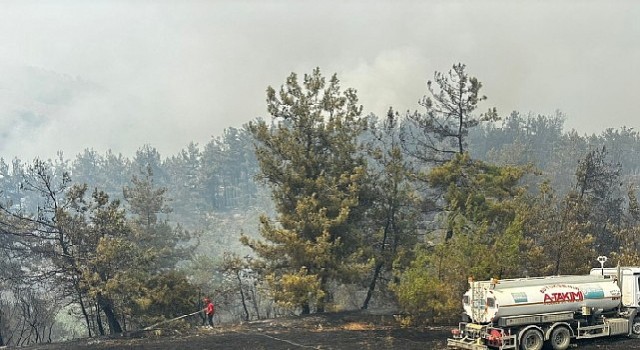 Büyükşehirden Bursadaki yangına tam destek