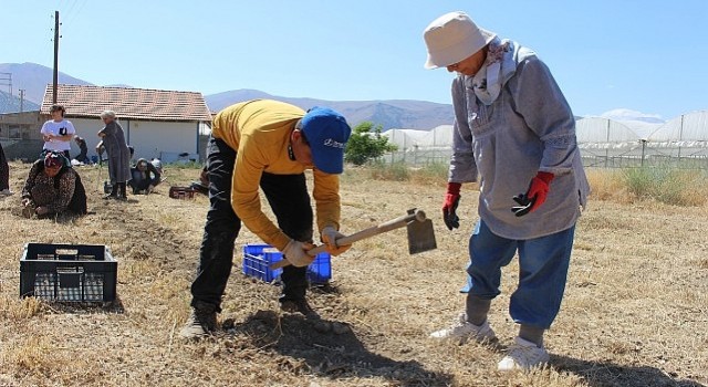 Büyükşehirin tarım destekleri üreticiyi sevindirdi