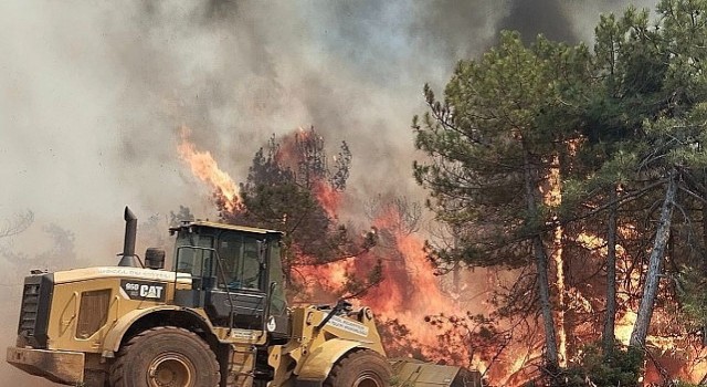 İnegölün Dayanışma Ruhu Yangın Bölgesinde