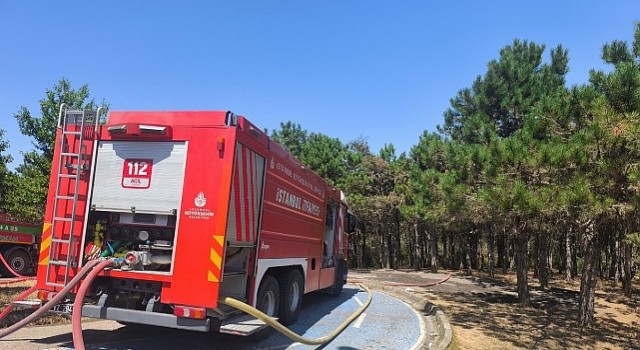 Kent Ormanı Yangını Kısmen Kontrol Altında