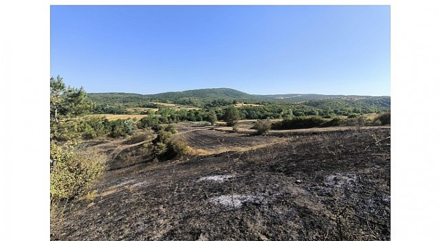 Yangında zarar gören çiftçilere gübre ve tohum desteği