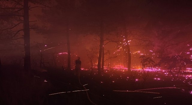 Çanakkaleye yardıma giden İBB İtfaiyesi yoldayken Edirne Enezdeki yangına yönlendirildi