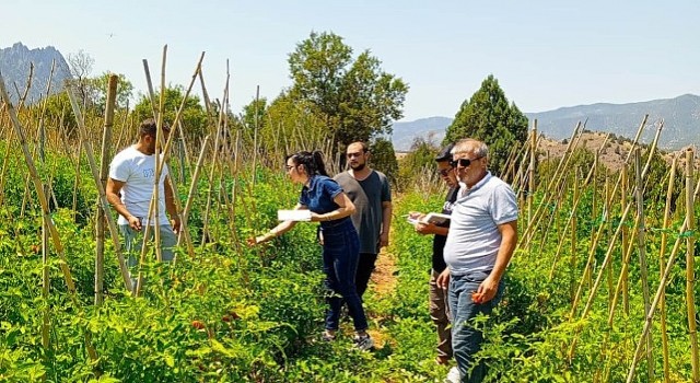 Çankaya Belediyesinden organik pazar denetimleri