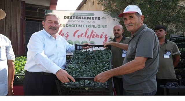 Yüzde 50 Hibeli Kışlık Sebze Fidesi Desteği Üreticilerle Buluştu