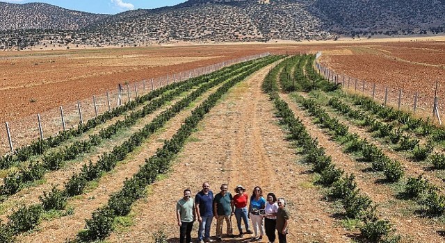 Büyükşehirin hibeleri üreticinin yüzünü güldürdü