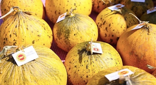 Çeşme, üretim kültürünü kutladı: 10. Ovacık Tarım ve Sakız Koyunu Festivali tamamlandı