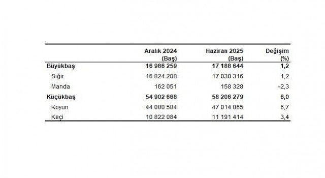 Hayvancılık İstatistikleri, Haziran 2025
