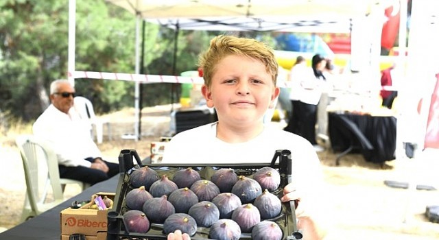 Osmangazi Belediyesinden dünyaca ünlü siyah incire festival
