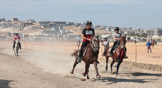 Türkiyenin şampiyon atları Menemende yarıştı