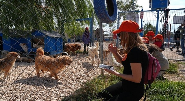 Borusan Pati Elçilerinden sokağa terk edilmiş can dostlara mama, koruyucu aile ve sahiplendirme desteği