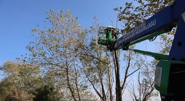 Kartepe de Yeşil Alanlara Bakım