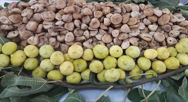 Türk kuru incir ihracatçılarından Avrupa Birliği ne; “Kuru incirde ev ödevimizi yapıyoruz” mesajı