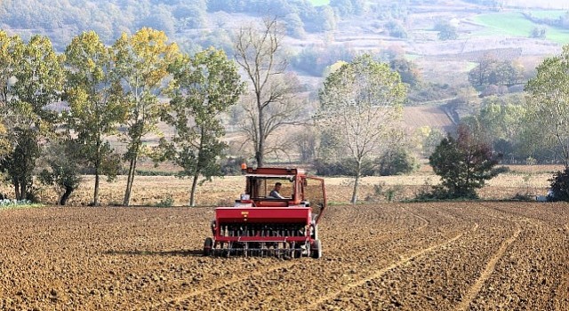 Büyükşehirin hibeli tohumları toprakla buluştu