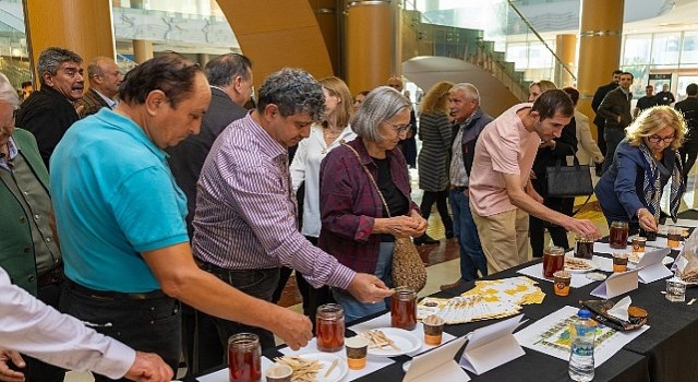 Yenişehir Belediyesi arı merası kuran Türkiyedeki ilk belediye oldu