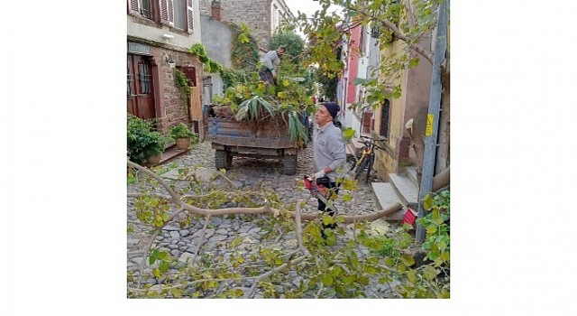 Ayvalıkta Kışa Hazırlık…