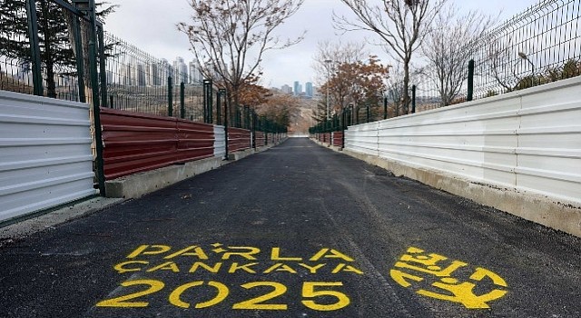 Çankaya Belediyesi Barınak Kapasitesini 1.500 e Çıkardı