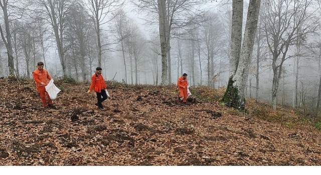Harmancıkta yanan ormanlara tohumlar serpiliyor