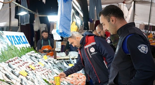 Maltepede balık denetimi