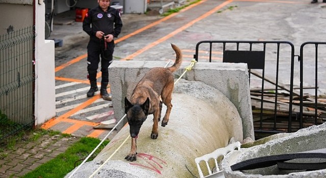 Maltepenin Zeynası artık ekibin bir parçası