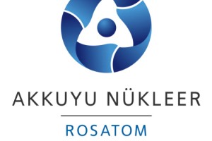 Akkuyu Nükleer A.Ş., Sovcombank'tan sürdürülebilirlik bağlantılı iki ayrı kredi almaya hazırlanıyor