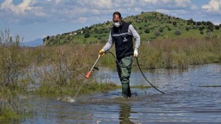 Aliağa Belediyesi Sivrisinek ile Mücadelesini Sürdürüyor
