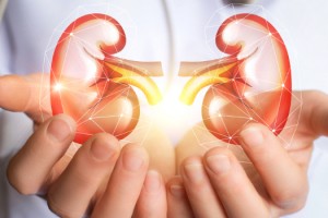 BÖBREK HASTALARI İÇİN ‘İYİ YAŞAMIN’ 4 KURALI!