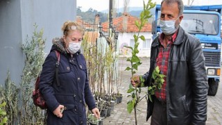 Buca Belediyesi’nden üreticiye 13 çeşit meyve fidanı