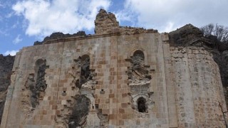 CHP’li Ağaç: “Devlet koruma görevini tam yapmıyor, yerel yönetimler ilgisiz”