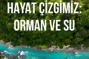 Hayat çizgimiz: Orman ve Su