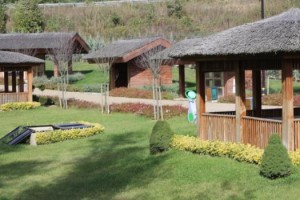 İSTANBUL’UN İLK AÇIK HAVA KÜLTÜR, SANAT, ETKİNLİK ALANI KEMERBURGAZ KENT ORMAN’DA KURULUYOR