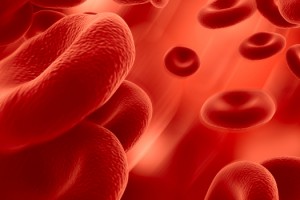 KANSERDEN KORUNMANIN 7 YOLU