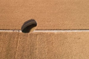 “Tarımda Havza Modeli yaygınlaştırılmalı”