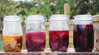 Evde Doğal Boya Yapımı ve Kodlanan Bedenler atölyeleri