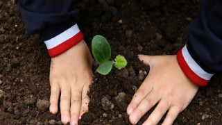 Kahve posası çiçeklere can verdi