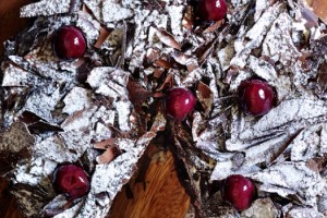 Özsüt Karaorman Vişne ile damaklarda iz bırakıyor