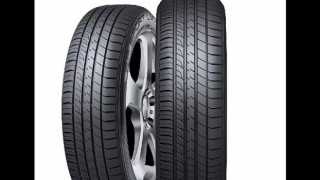 Sessizliğiyle Bilinen Baykuşların Kanat Yapısından Esinlenerek Tasarlan Yaz Lastiği