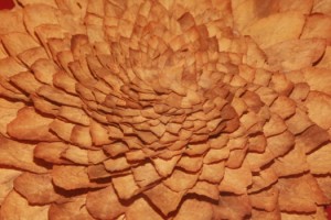 Yaprak tütünde sürdürülebilirlik çalışma grubu kuruldu